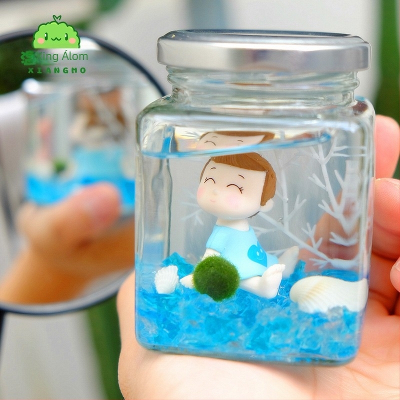 Warm dream Üvegből készült mini terrárium marimóval - hidroponikus mikro tájkép növény, ajándék