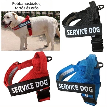 K9 kutya hám-póráz mellkasi pánttal közepes és nagy testű kutyáknak, Alaska dizájn, nylon