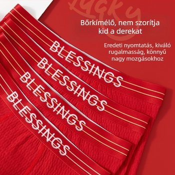 Fiúknak szóló pamut alsónadrág, Class A, 95–100% pamut, középmagas derekú, 8+ éveseknek