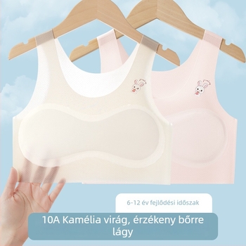 Fiatal lányoknak tervezett, varrat nélküli sport melltartó‑vest, lélegző nylon, teljes kosár, ultra vékony formázott kosár, pamut bélés