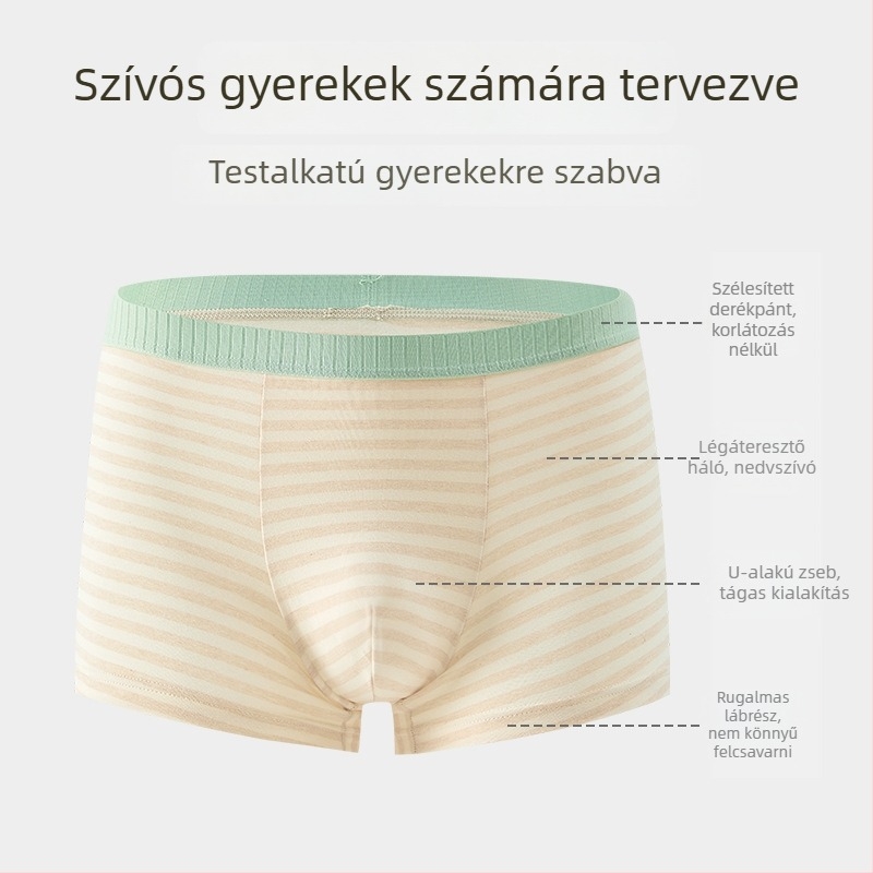 Fiúknak pamut alsónemű, légáteresztő, vékony szabás, 95% pamut 5% elasztán, biztonsági osztály A, 3–8 évesek