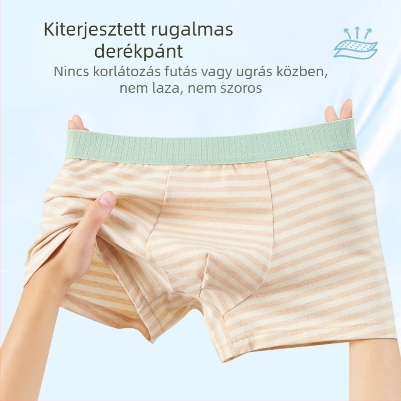 Fiúknak pamut alsónemű, légáteresztő, vékony szabás, 95% pamut 5% elasztán, biztonsági osztály A, 3–8 évesek