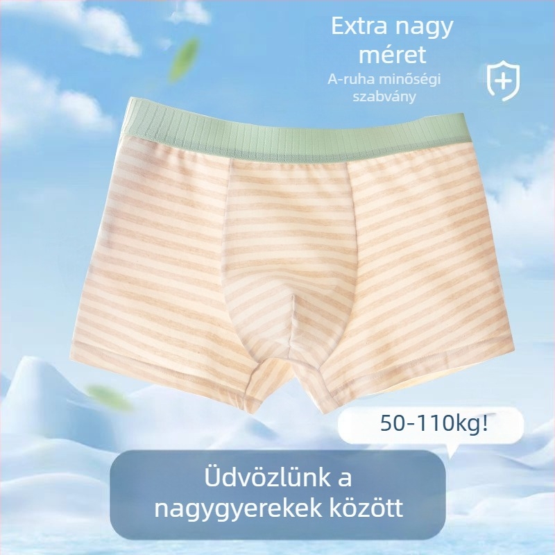 Fiúknak pamut alsónemű, légáteresztő, vékony szabás, 95% pamut 5% elasztán, biztonsági osztály A, 3–8 évesek