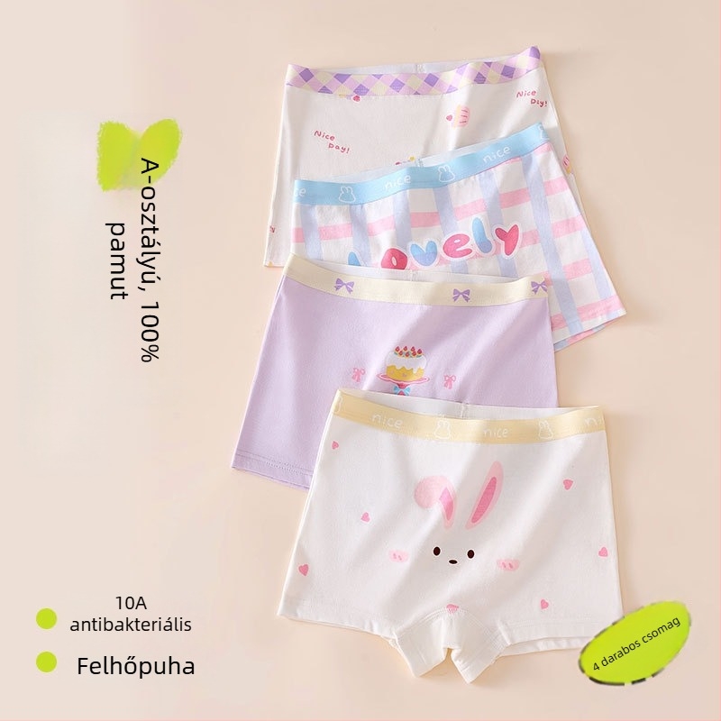 Lányoknak készült boxer brief, 95% pamut, antibakteriális, A osztály, mesefigurás mintával, 8 éves kortól
