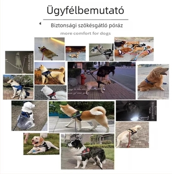 Mellény-stílusú kutyahám pórázzal és nyakörvvel közepes méretű kutyáknak: Border Collie, Golden Retriever, French Bulldog