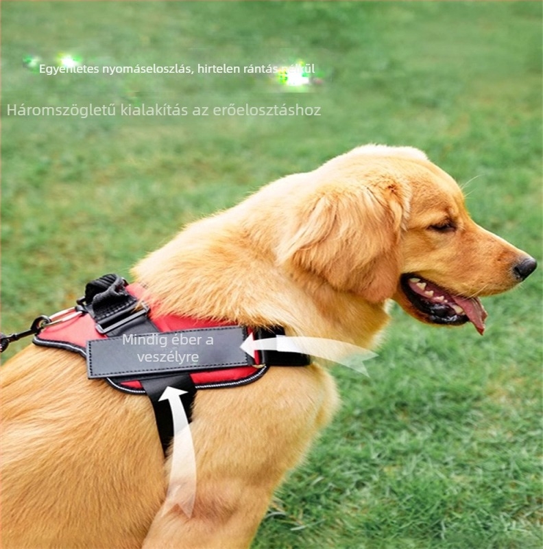 Mellény-stílusú kutyahám pórázzal és nyakörvvel közepes méretű kutyáknak: Border Collie, Golden Retriever, French Bulldog