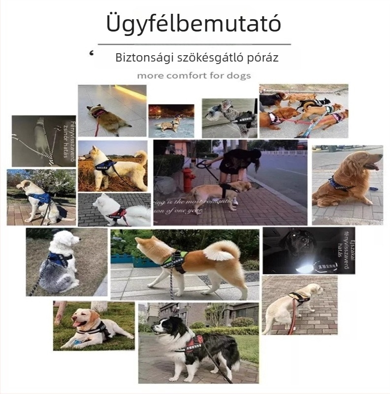 Mellény-stílusú kutyahám pórázzal és nyakörvvel közepes méretű kutyáknak: Border Collie, Golden Retriever, French Bulldog
