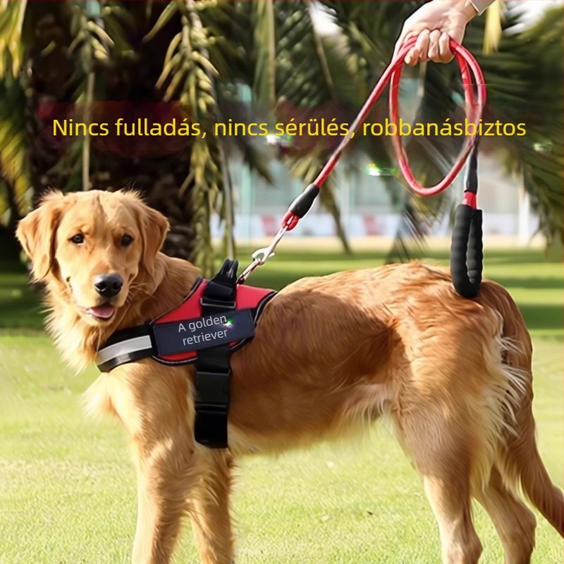 Mellény-stílusú kutyahám pórázzal és nyakörvvel közepes méretű kutyáknak: Border Collie, Golden Retriever, French Bulldog