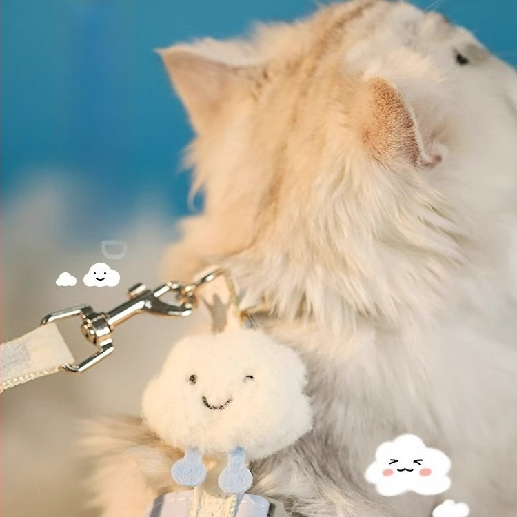 I-alakú szökésbiztos macska póráz és hám - nylon