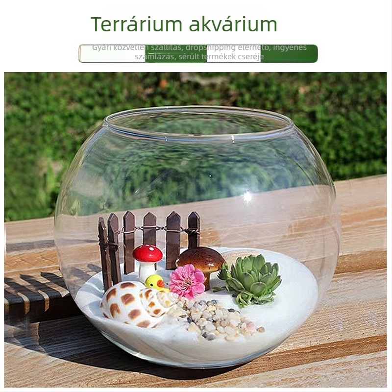 Kör alakú hidroponikus váza szukkulentákhoz – fújt üveg, polírozott felület, testreszabható, logó nyomtatás