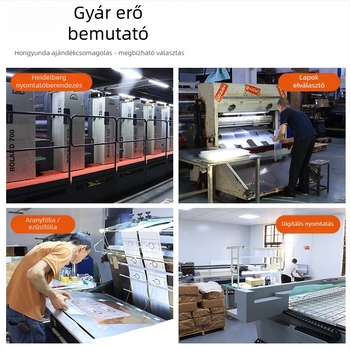 PVC irattartó dosszié cserélhető burkolattal és átlátszó zsebbel, oldalsó kötés, japán-koreai aranyos jegyzet-stílus