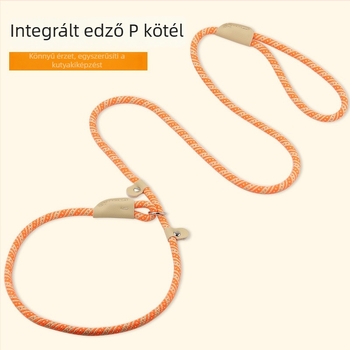 Nylon kutyapóráz és nyakörv univerzális csattal közepes és nagy testű kutyáknak