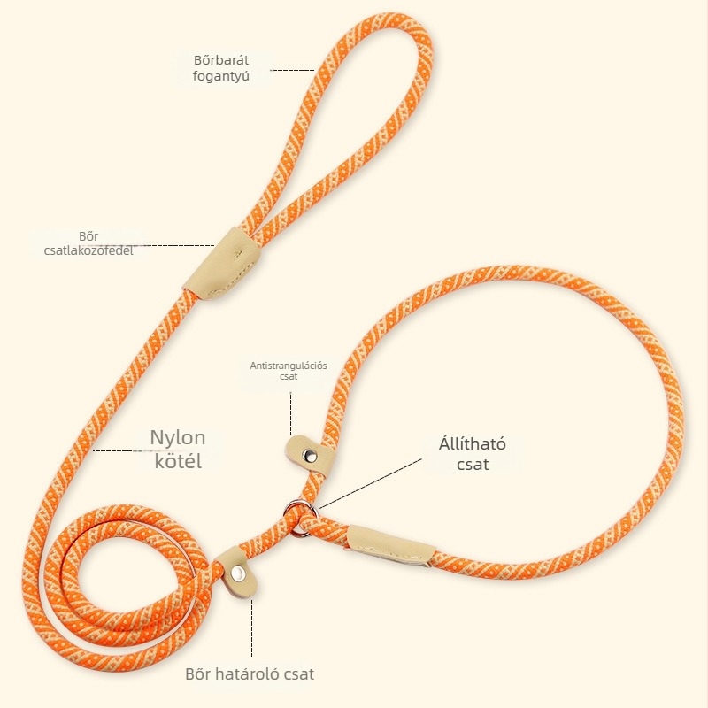Nylon kutyapóráz és nyakörv univerzális csattal közepes és nagy testű kutyáknak