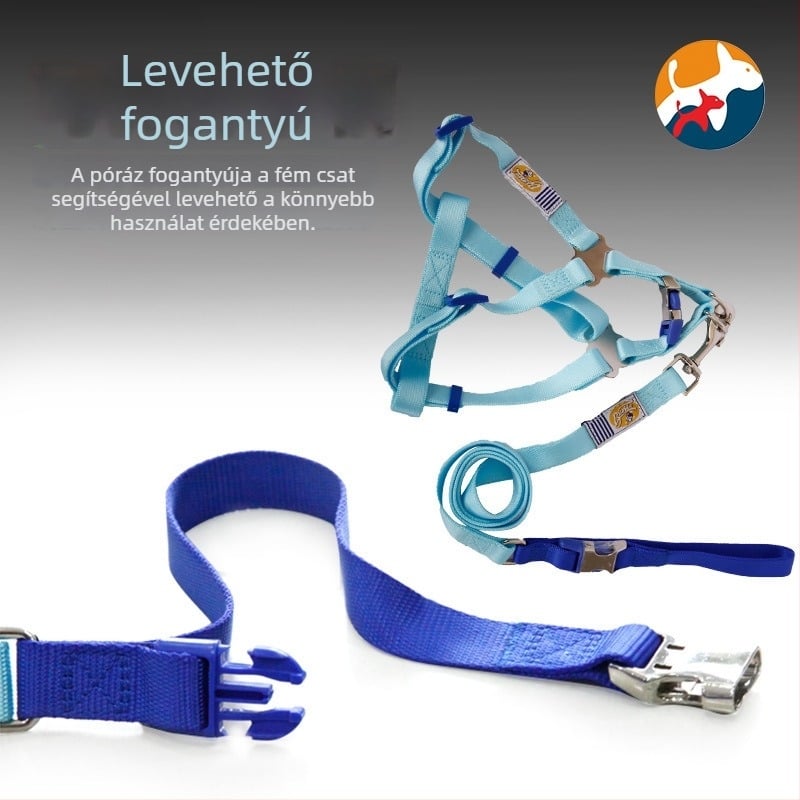 Nylon kutyapóráz és hám kis- és közepes méretű kutyáknak, az elvesztés elleni védelem.