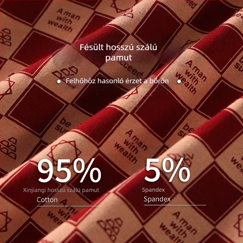 Férfi pamut boxer brief, légáteresztő, középmagas derék, csíkos/kockás mintázat, 2025 zodiákus év dizájn