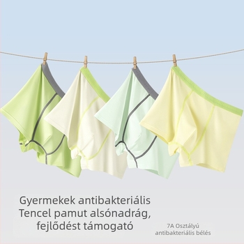 Fiúknak való Lyocell alsónadrág, középmagas derék, 3–8 éveseknek, Lyocell 66.1%