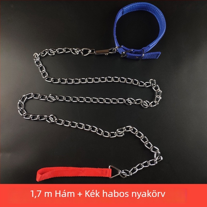Kutyapóráz vaslánccal – háziállatokhoz való lánc, kötél, medállal