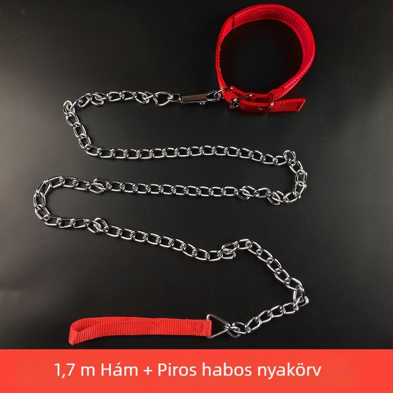 Kutyapóráz vaslánccal – háziállatokhoz való lánc, kötél, medállal