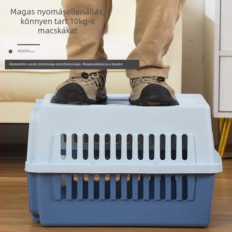 Műanyag háziállat szállító, 48L, Cartoon mintázat, macska és kutya szállítására