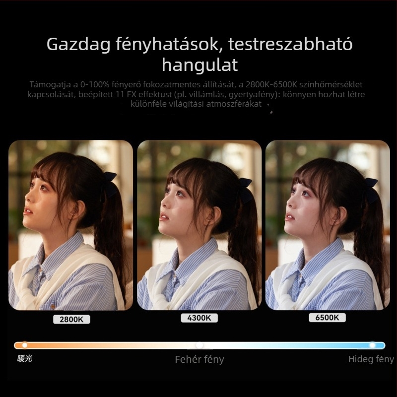 LP800Bi síkpaneles világítás fényképezéshez, élő közvetítéshez és szépség videókhoz, kettős színhőmérséklet, hordozható