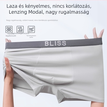 Nyári modal férfi alsónemű, varrás nélküli, plusz méret, középmagas derekú, vékony anyag, lélegző