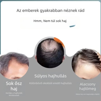 Férfi teljes fejperuka, valódi emberi haj, mechanizmusos készítés, Xuchang eredet