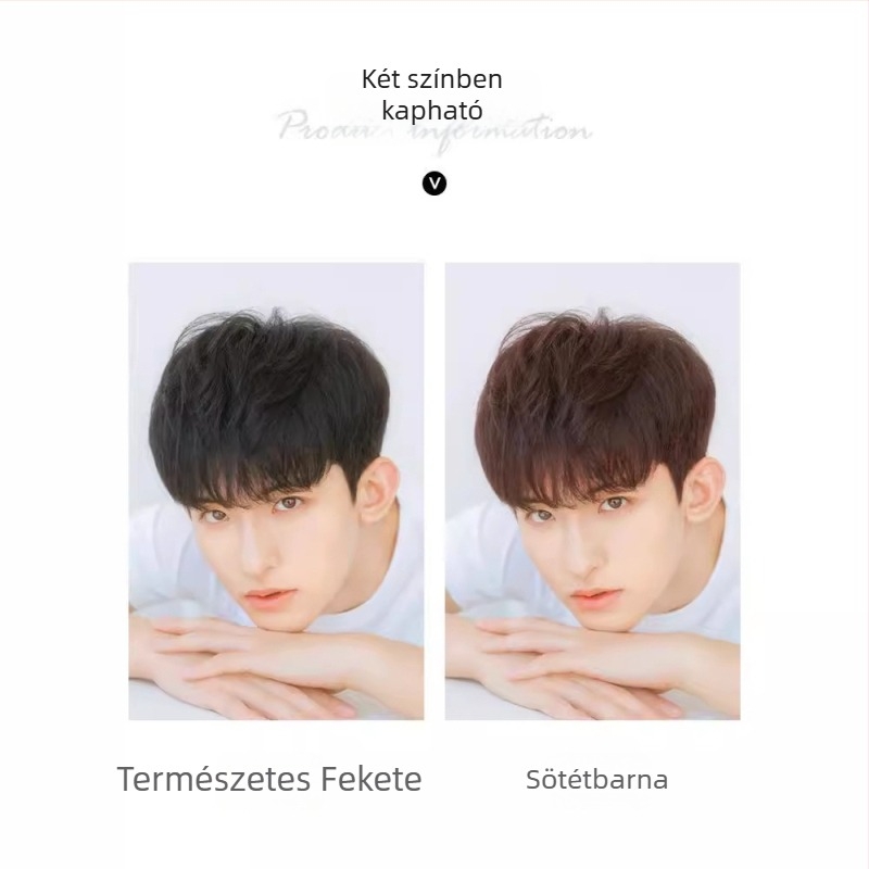Férfi paróka, koreai stílus, elegáns rövid, természetes hatású