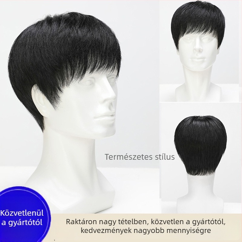 Férfi paróka, rövid haj, valódi emberi hajból, teljes fejfedés, légáteresztő mechanizmus (Model JT-NDTT01)
