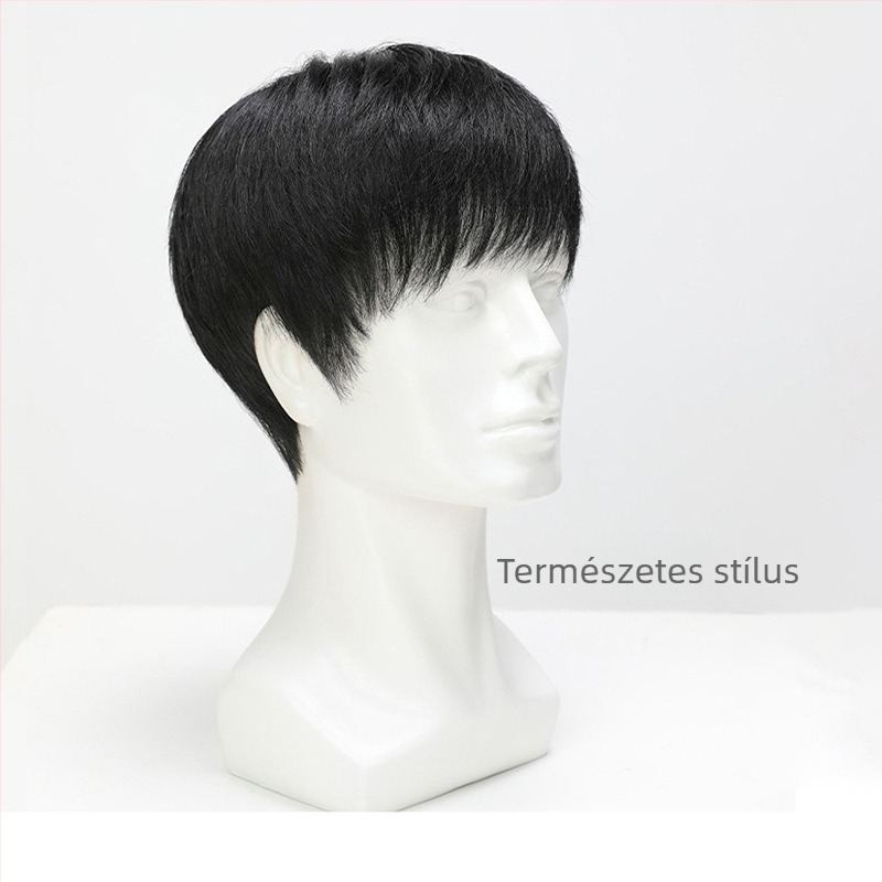 Férfi paróka, rövid haj, valódi emberi hajból, teljes fejfedés, légáteresztő mechanizmus (Model JT-NDTT01)
