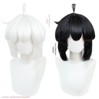 Cosplay paróka Zhixiao, selyem haj, férfiaknak, modell: Egyéb