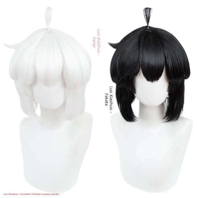 Cosplay paróka Zhixiao, selyem haj, férfiaknak, modell: Egyéb