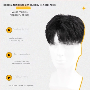 Férfi paróka, koreai stílus, rövid haj, természetes megjelenés, emberi hajból készült, a hajhullás fedésére; festhető vagy göndöríthető