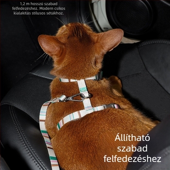 Zeze I-formájú állítható, szakadás elleni kutyapóráz, mellény-stílusú, kis testű kutyáknak; anyag: poliészter, poliaketal gyanta, cinkötvözet