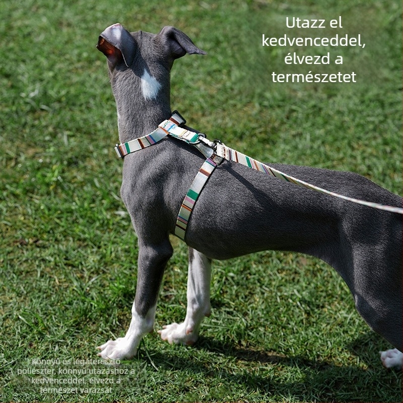 Zeze I-formájú állítható, szakadás elleni kutyapóráz, mellény-stílusú, kis testű kutyáknak; anyag: poliészter, poliaketal gyanta, cinkötvözet