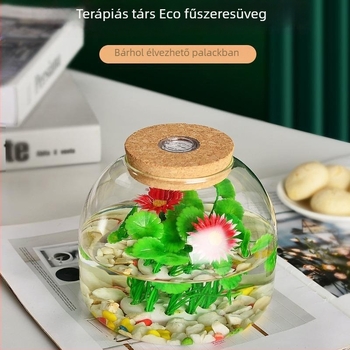 Magas boroszilikát üvegből készült mikro tájkép üvegben, akváriummal és hidroponikus növénycseréppel, asztali kiállítás, karton csomagolás, nem importált