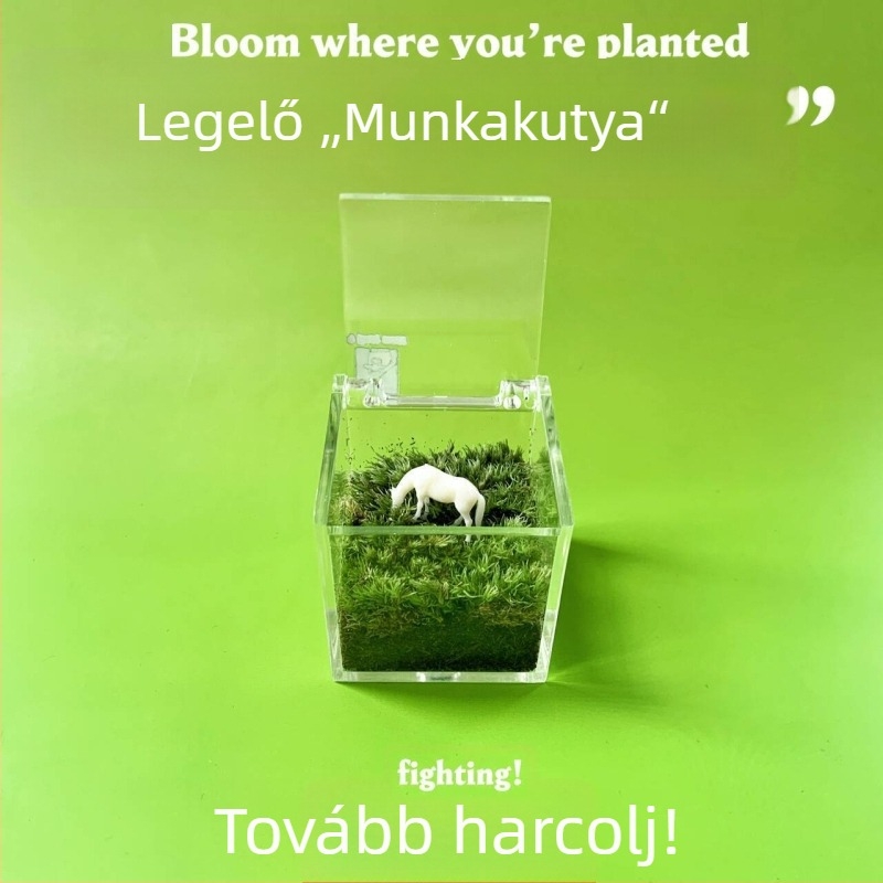 Mohás mikro táj beltéri asztali dekoráció – kézzel készített, logózás testre szabható, irodai ajándék