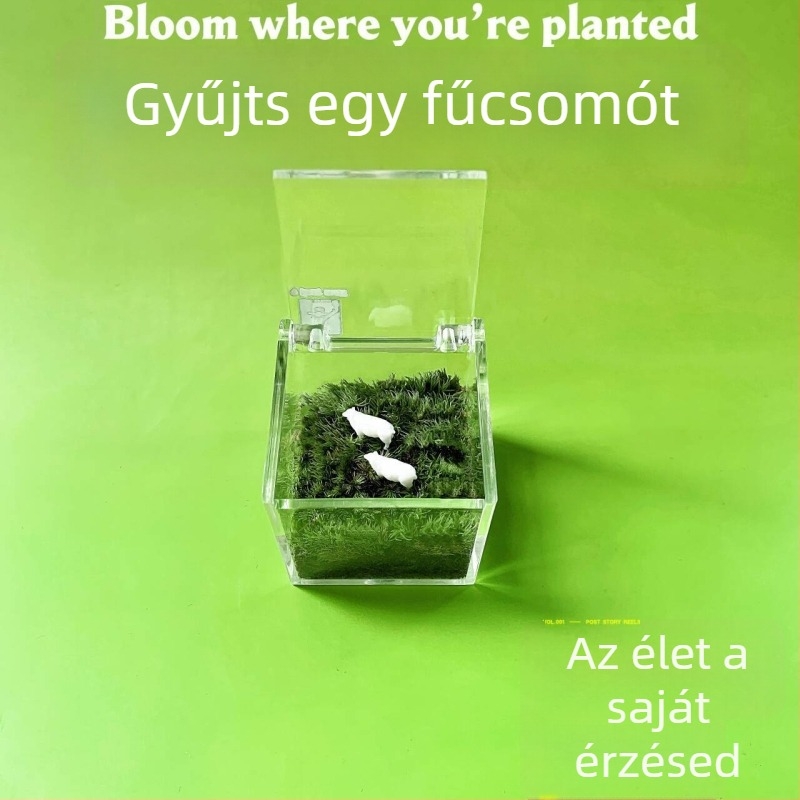 Mohás mikro táj beltéri asztali dekoráció – kézzel készített, logózás testre szabható, irodai ajándék