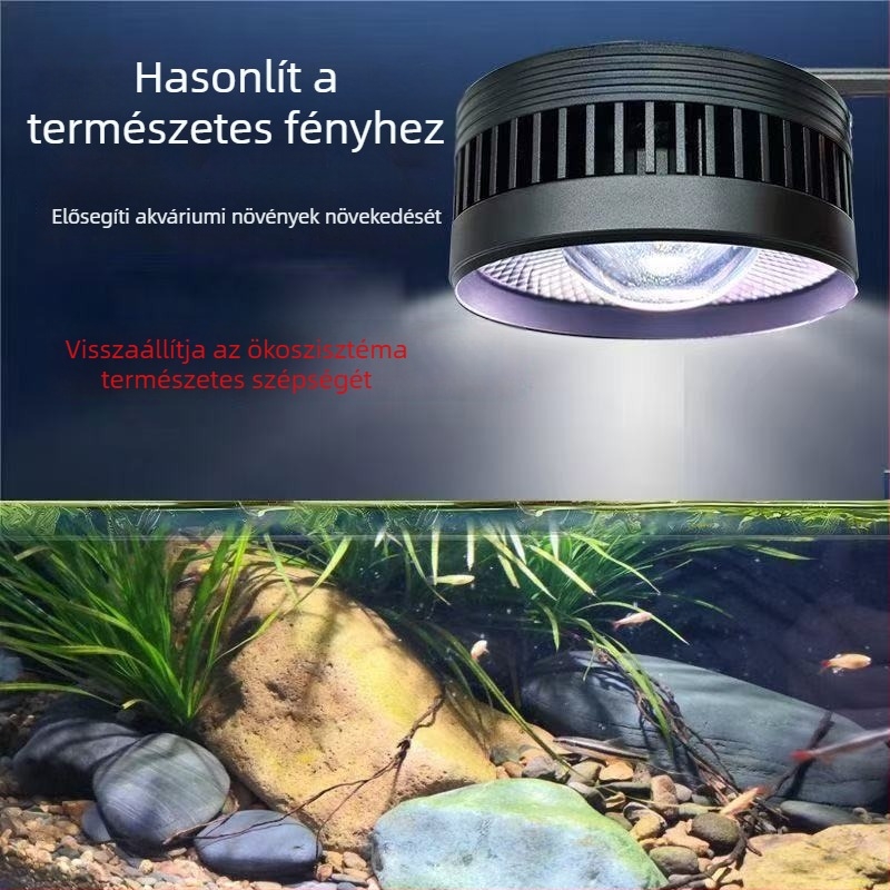 LED akváriumfény, downlight, WRGB teljes spektrum vízi növényekhez, algák elleni kontroll, Teljesítmény: 35W/55W/80W, Ming qi