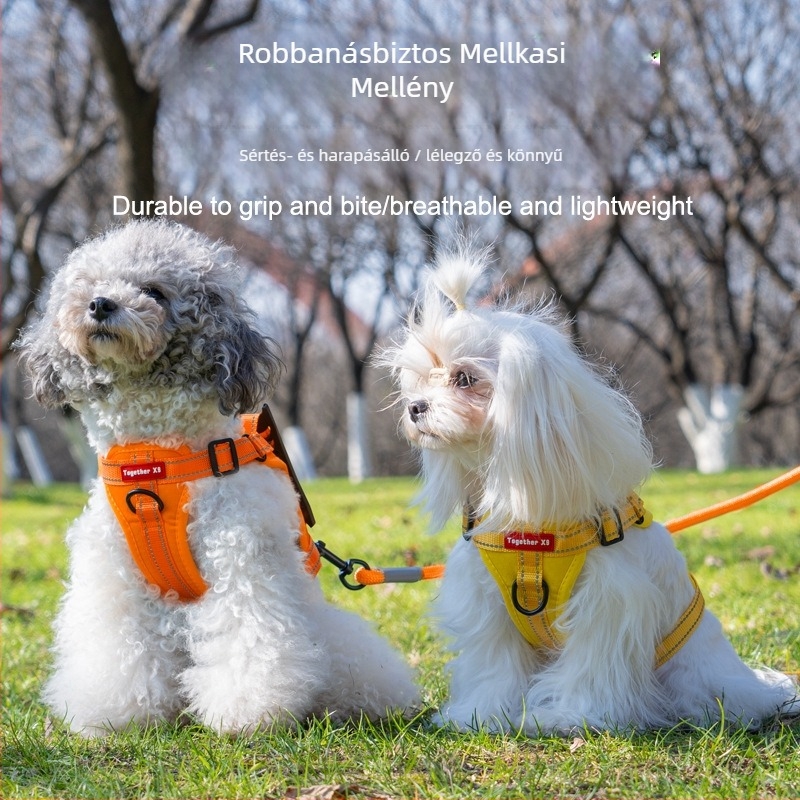 Állítható kutyahám mellény-stílusban, éjszakai reflexiós anyaggal, Corgi és Shiba Inu számára