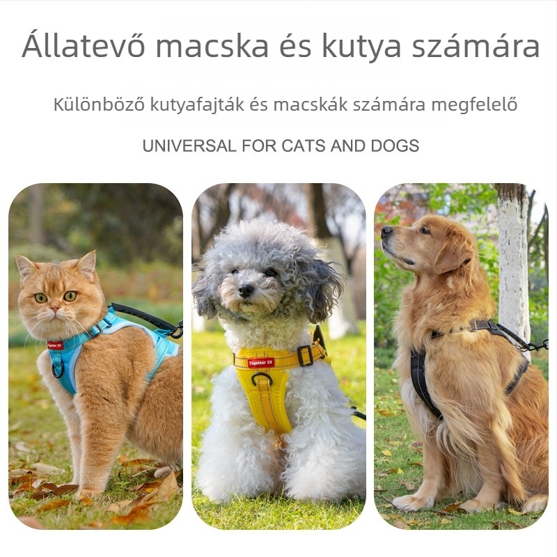 Állítható kutyahám mellény-stílusban, éjszakai reflexiós anyaggal, Corgi és Shiba Inu számára