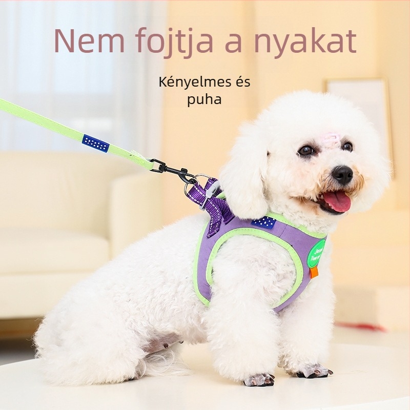Kis méretű kutyák mellényhám és sétapóráz