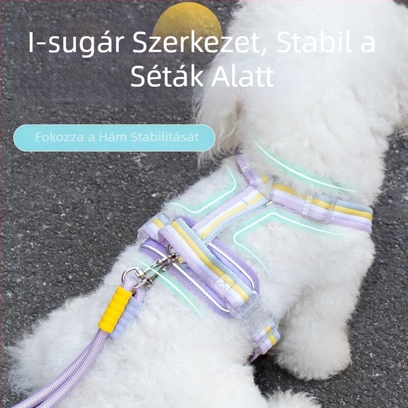 Kutyamellkashám, I-alakú mellény és sétáltatópóráz