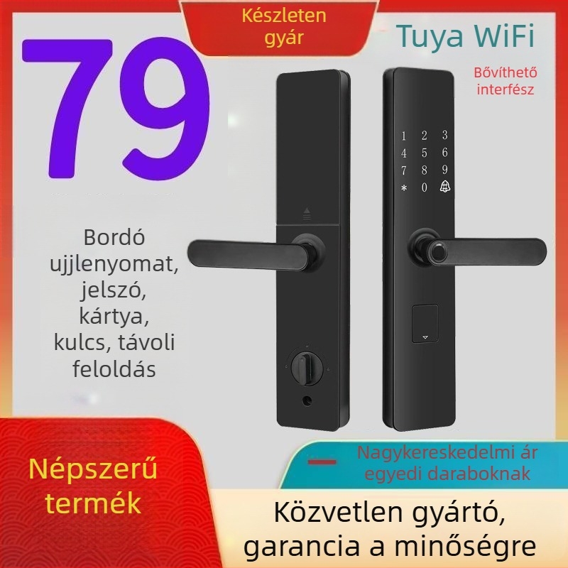 Félautomata okos zár biztonsági ajtóra — 100 ujjlenyomat tárolókapacitás, >20 000 nyitás, <0.1 s beolvasási idő, <0.1% hamis felismerési arány, DC táplálás