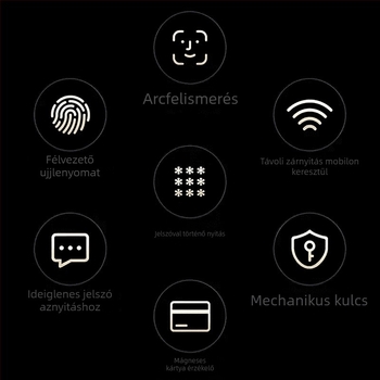 Tenyervénás biometrikus intelligens ajtózár ujjlenyomat és 3D arcfelismeréssel, távoli feloldás, DC tápegység (tenyervénás biometria; ujjlenyomat; 3D arcfelismerés; távoli feloldás; DC tápegység)