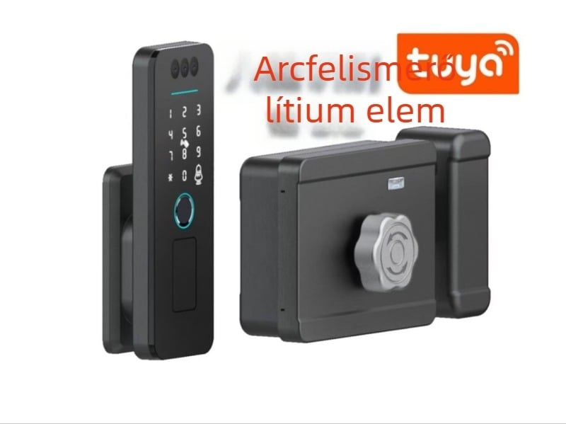 Okos kültéri ajtózár arcfelismeréssel, ujjlenyomat-azonosítással és jelszóval – időjárásálló és fagyálló vasajtókhoz