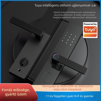 Bejárati ajtó intelligens zár ujjlenyomat és jelszóval, könnyű luxus elektronikus zár otthonoknak, szállodáknak és apartmanoknak