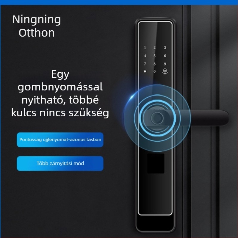 Okos ujjlenyomat-zár, jelszó, kártya és kulcs hozzáféréssel – lopás elleni védelem (F331)