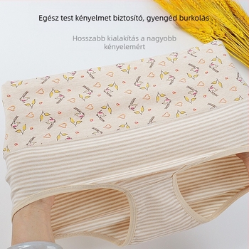 Női magas derekú hasformázó alsó antibakteriális pamut anyag (95–100% pamut), kötött szövet, pamut ágyékbetét, lélegző, csípőemelést támogató