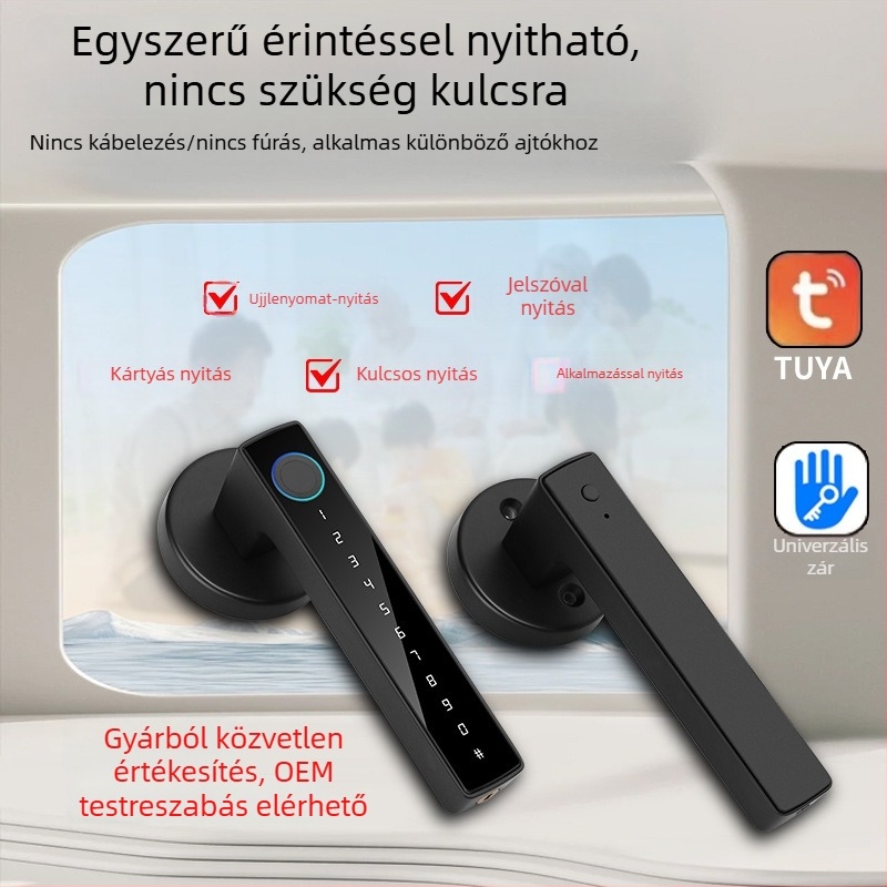 Gömb alakú ujjlenyomat-mentes zár érintéses fogantyúval, modell B1, faajtókhoz/belso ajtókhoz, 100 ujjlenyomat-tárolás, 100000 nyitás, DC energiaellátás