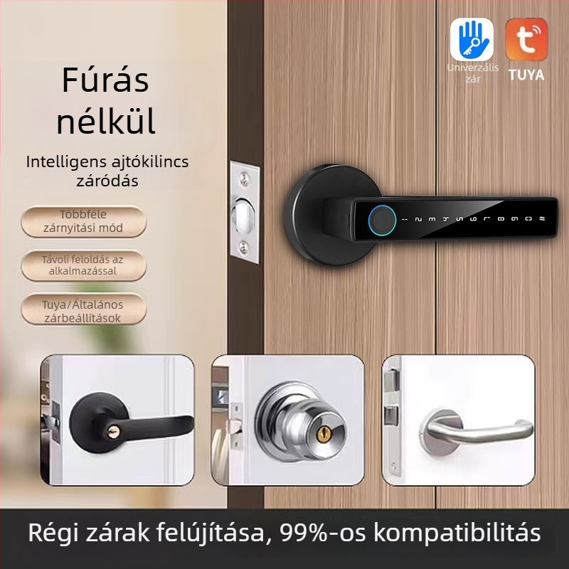 Gömb alakú ujjlenyomat-mentes zár érintéses fogantyúval, modell B1, faajtókhoz/belso ajtókhoz, 100 ujjlenyomat-tárolás, 100000 nyitás, DC energiaellátás